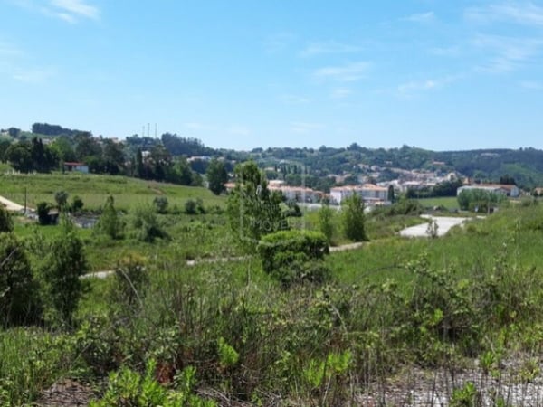 Land in Alcobaca - view 1