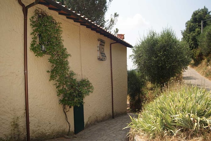 House in Lucca - view 1