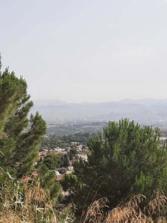 Land in Alhaurin de la Torre - view 1