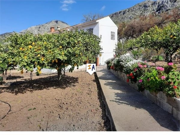 House in Torre del Mar - view 1