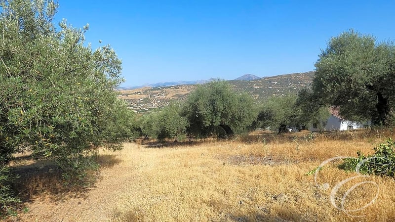 House in Torre del Mar - view 1