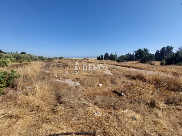 Land in Kouklia - view 1