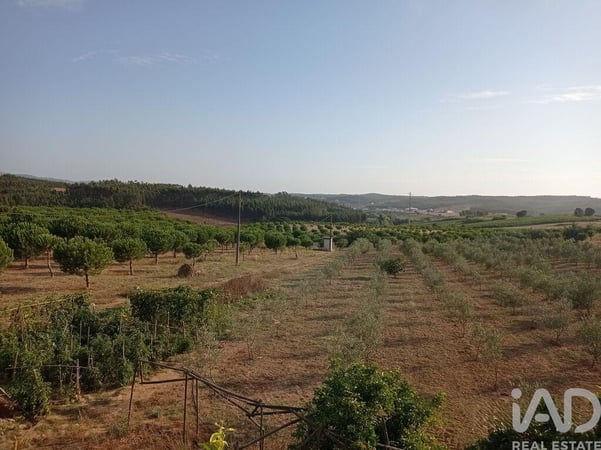 Land in Pero Moniz - view 1