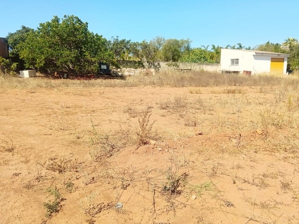 House in Faro - view 1