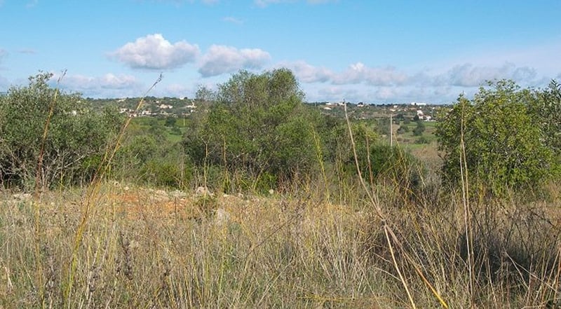 Land in Silves - view 1