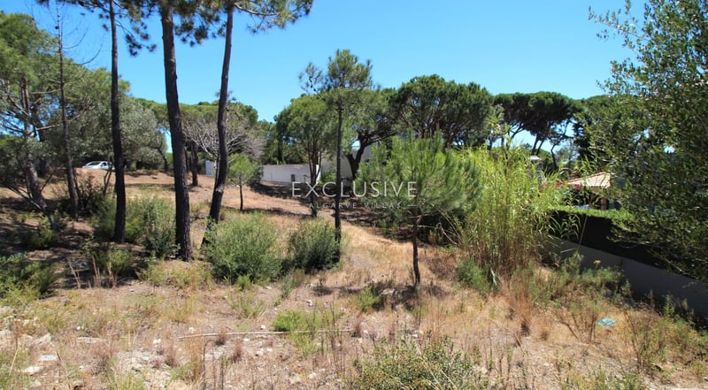 Land in Vale Formoso - view 1