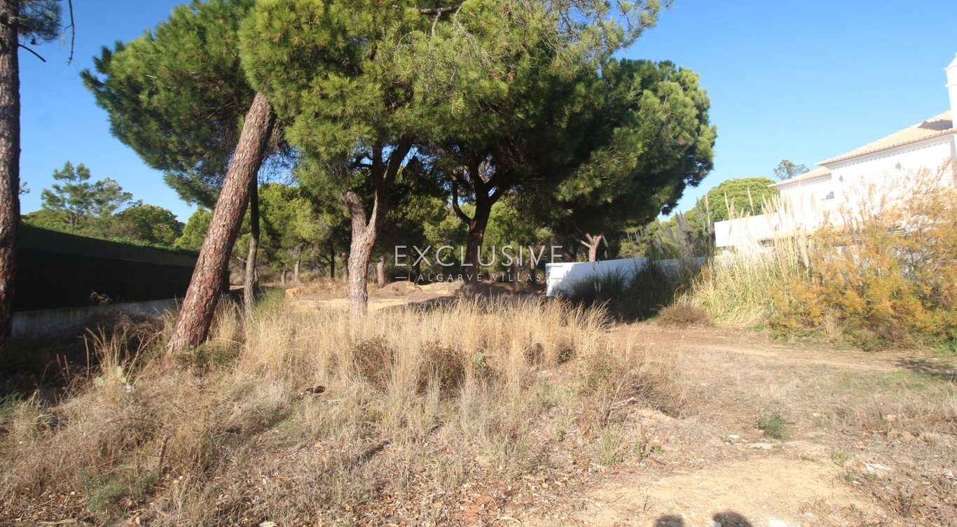 Land in Loule - Image 2