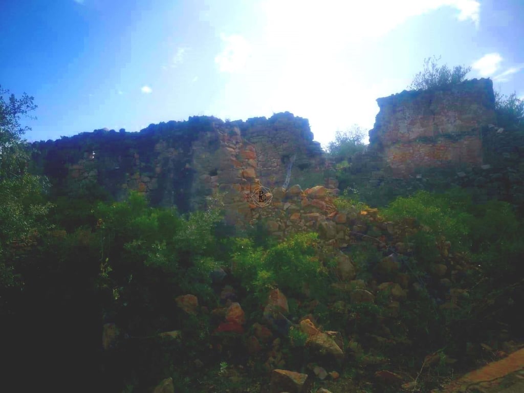 House in Estoi - Image 3