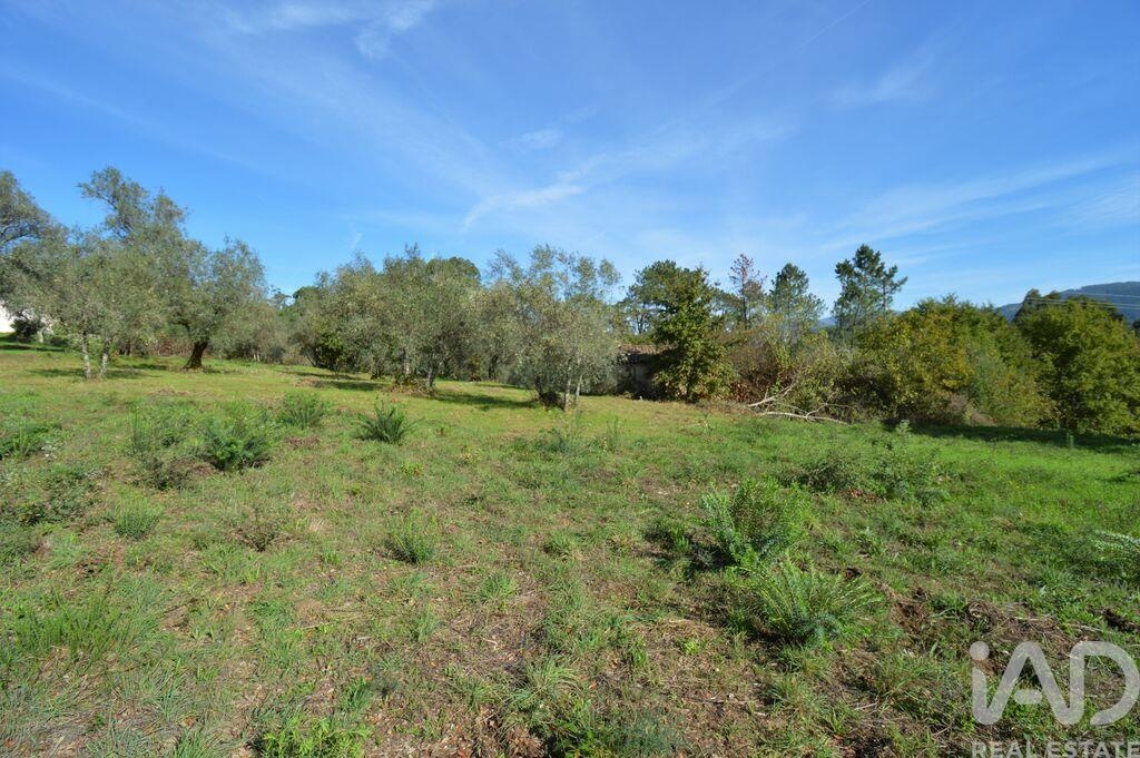 House in Miranda do Corvo - Image 3