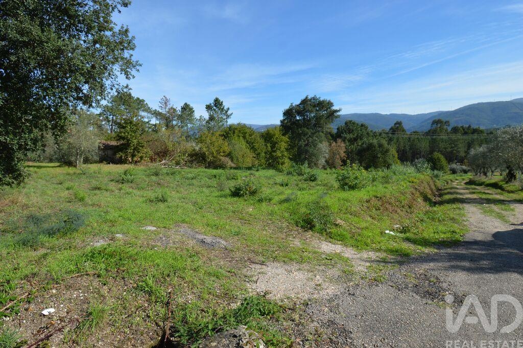 House in Miranda do Corvo - Image 2