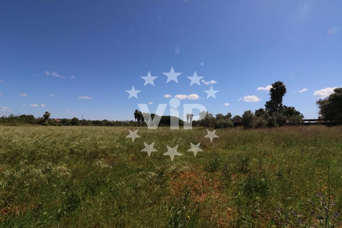 Land in Canhestros - view 1