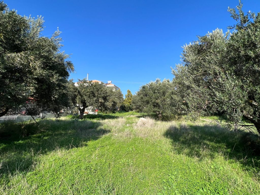 House in Kritsa - Image 3