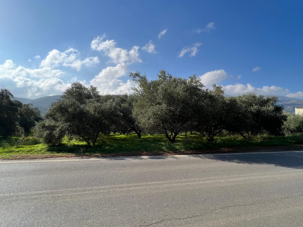 House in Agios Nikolaos - Image 3