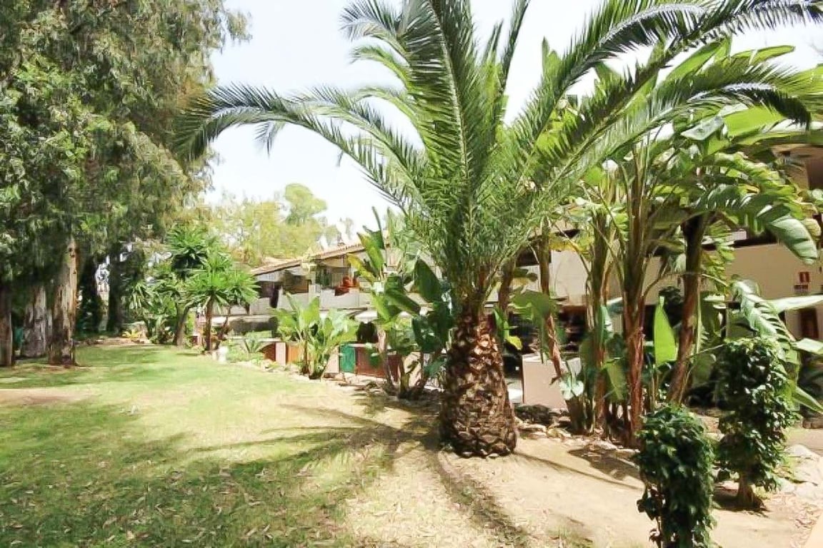 Apartment in Marbella - Image 2