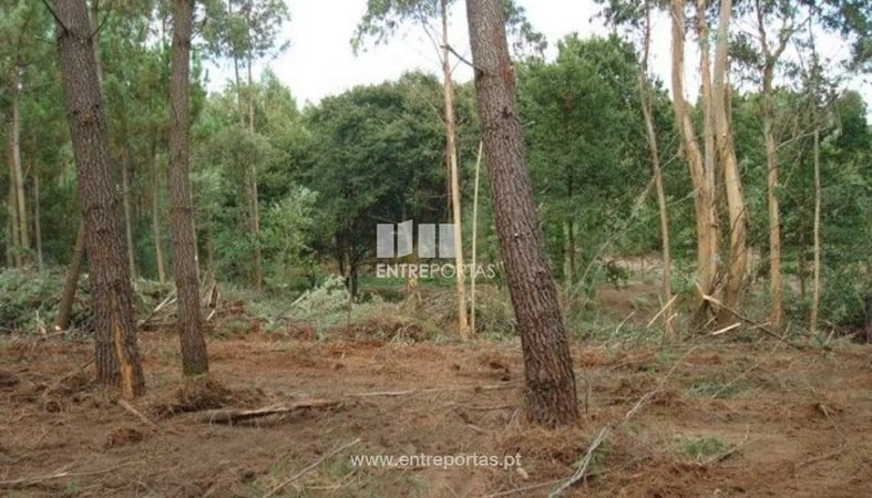 House in Forjaes - view 1