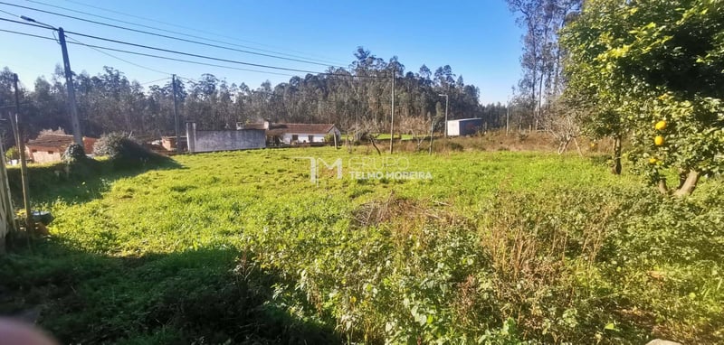 Land in Passo - view 1