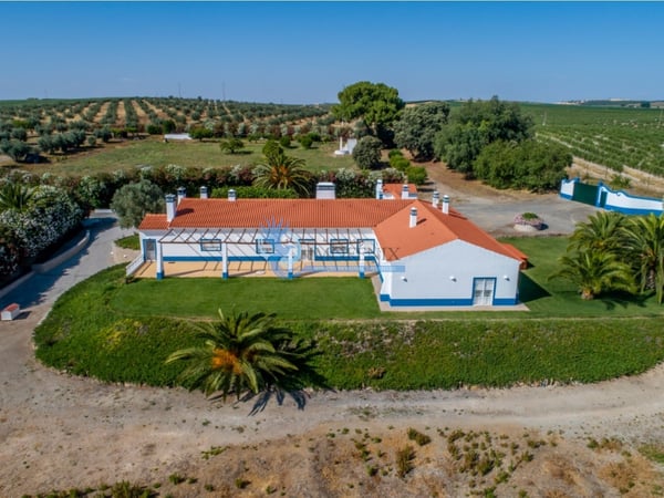 Farm, Ranch or Equestrian in Ferreira do Alentejo - view 1