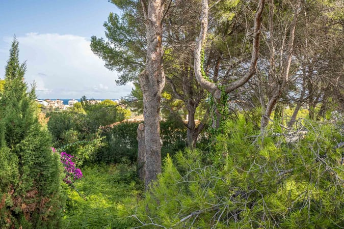 Land in Javea - view 1