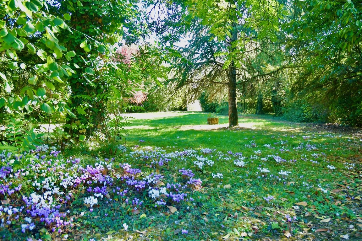 House in Ruffec - Image 2