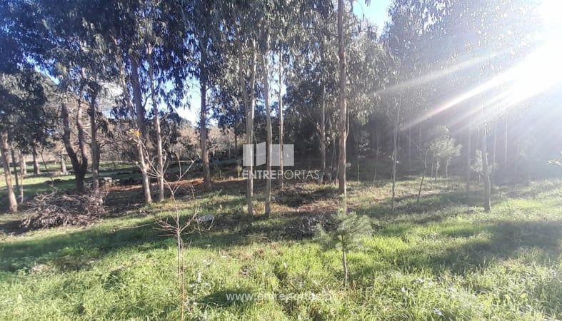 House in Vila Praia de Ancora - view 1