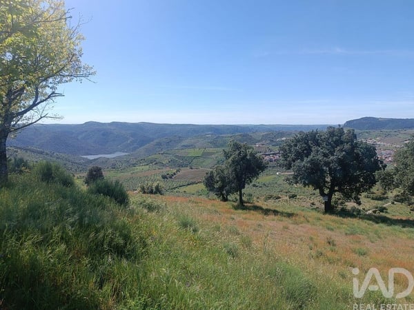 Land in Freixo de Espada A Cinta - view 1
