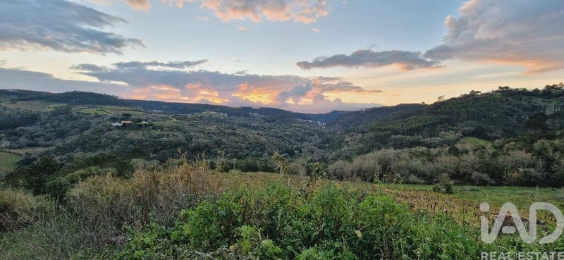 Land in Mafra - view 1