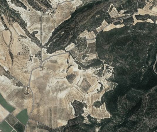 Land in Monovar - view 1