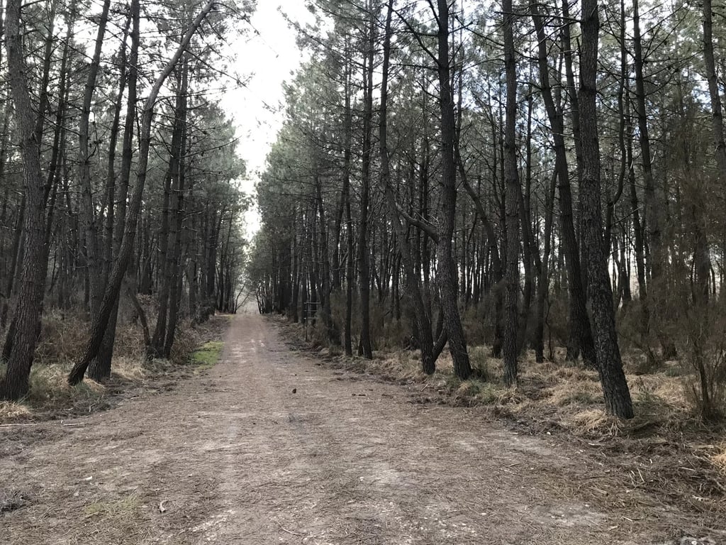 House in Montguyon - Image 2