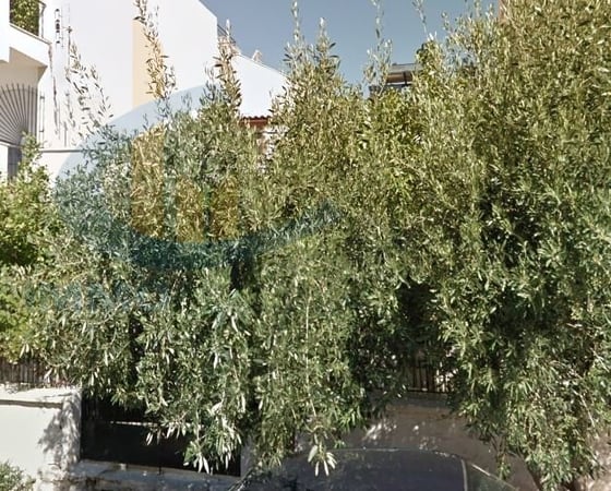 Land in Argyroupoli - view 1