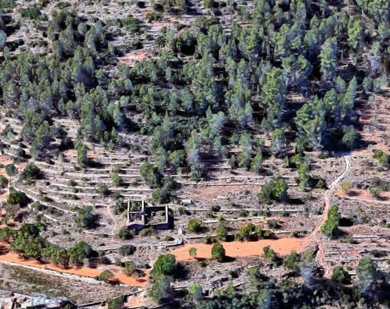 Land in Jalon - view 1