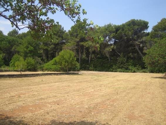 Land in Denia - view 1