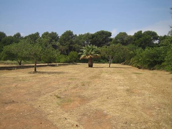 Land in Tosals - view 1