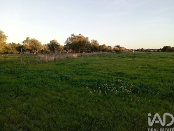 Land in Vale de Santarem - view 1