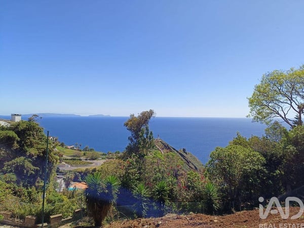 Land in Canico - view 1