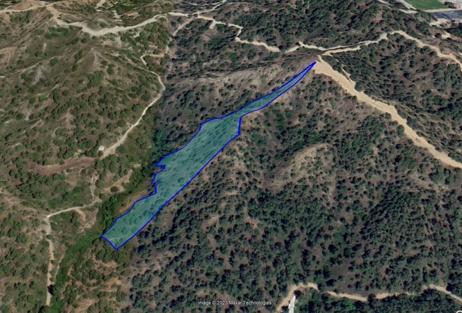 House in Mandria - view 1