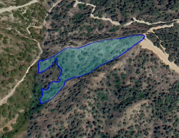 House in Mandria - view 1