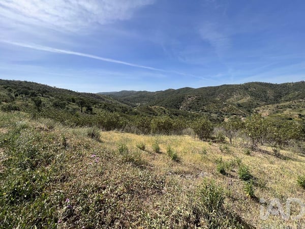 Land in Alte - view 1