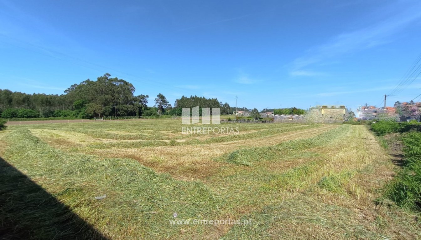 House in Vilar do Pinheiro - Image 2