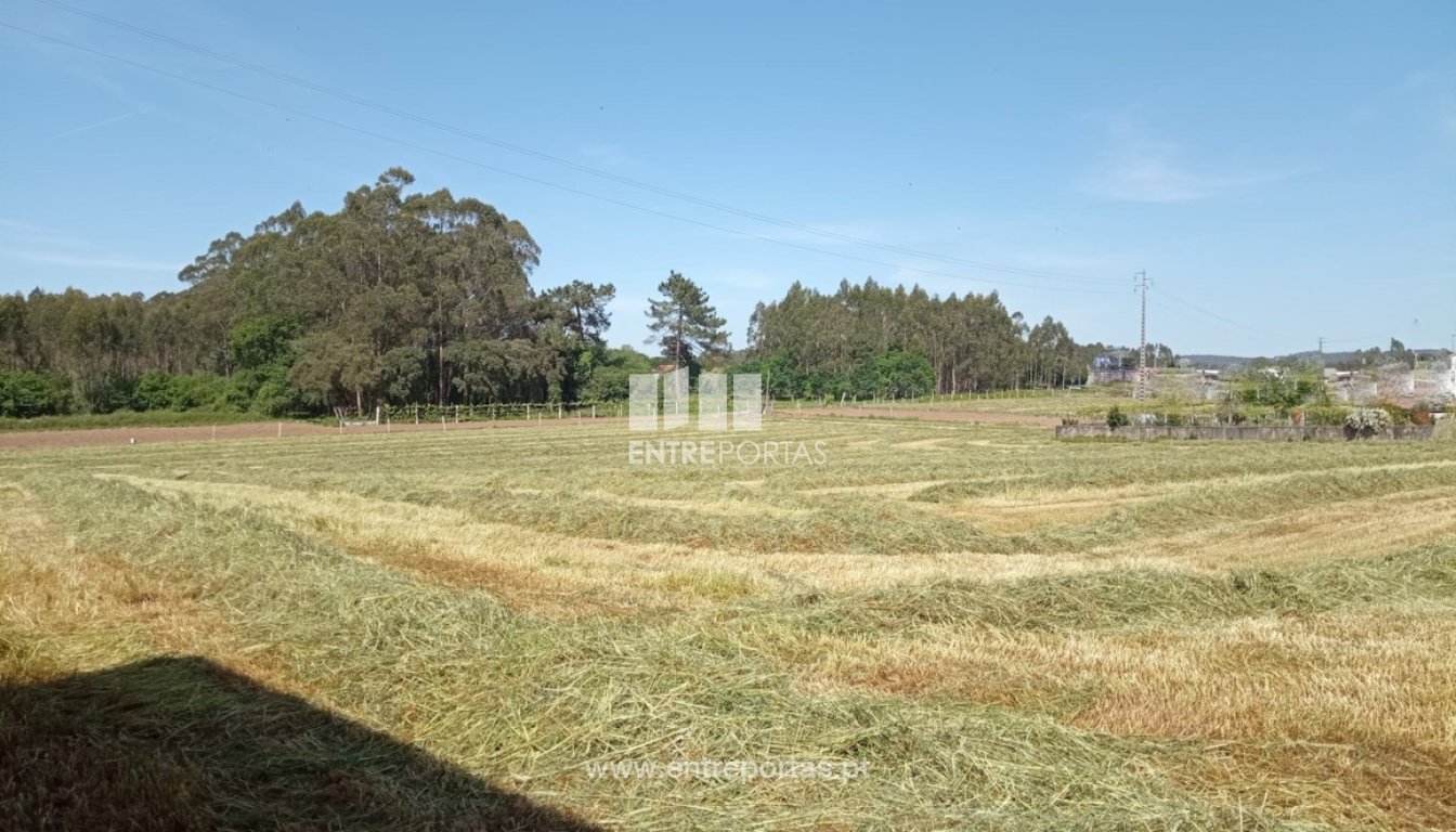 House in Vilar do Pinheiro
