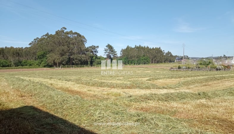 House in Vilar do Pinheiro - view 1