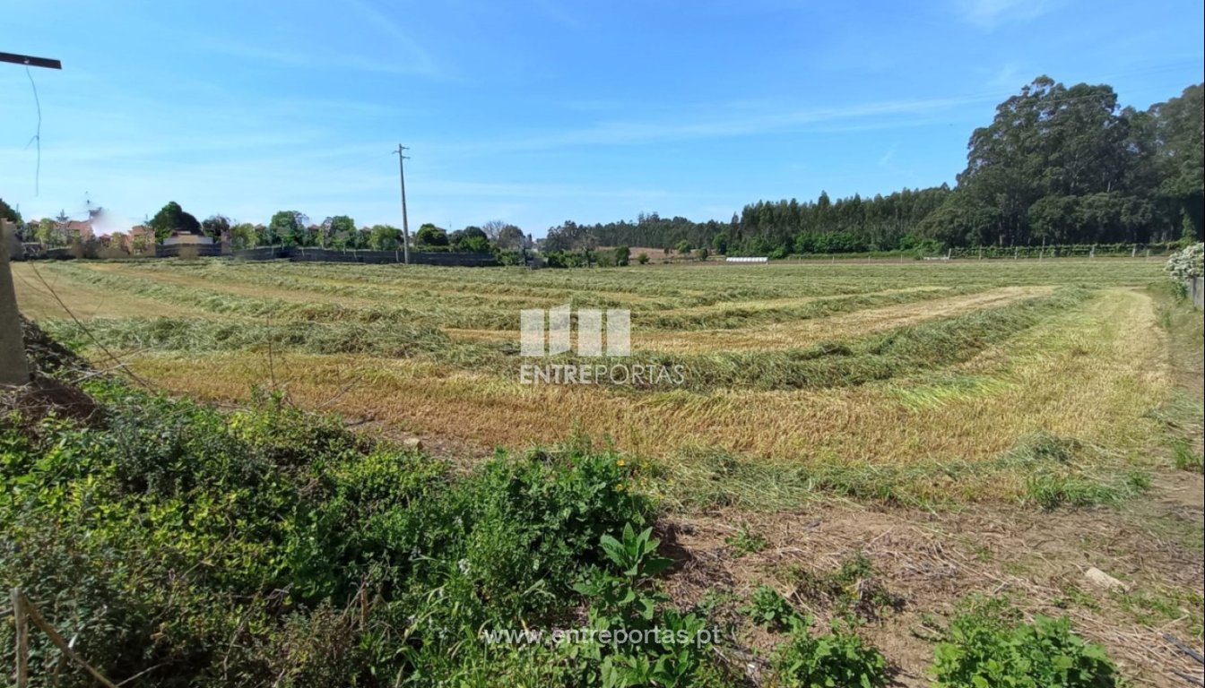 House in Vilar do Pinheiro - Image 3