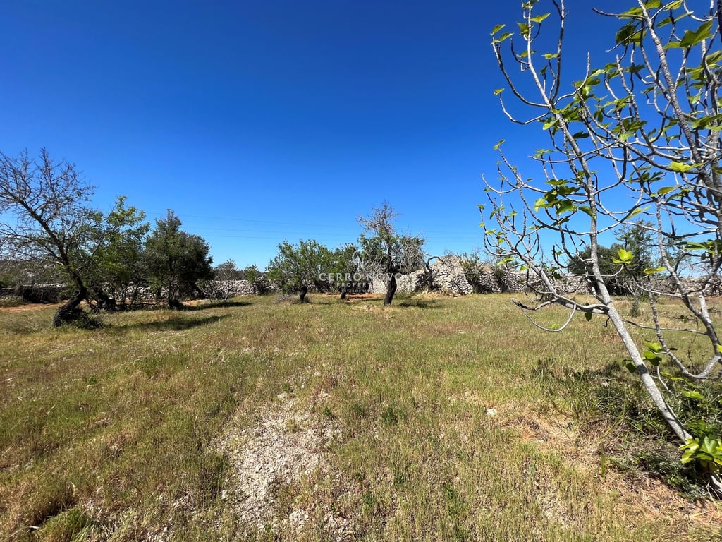 Land in Tunes - Image 2