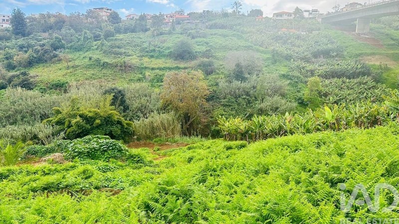 Land in Santo Antonio - view 1