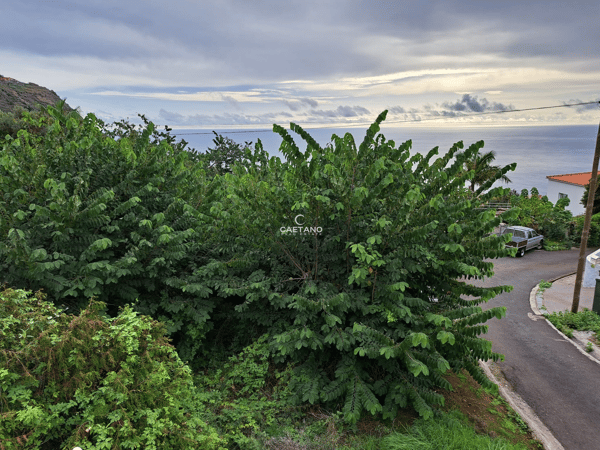 Land in Estreito da Calheta - view 1