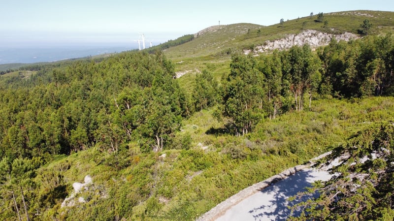 House in Monchique - view 1