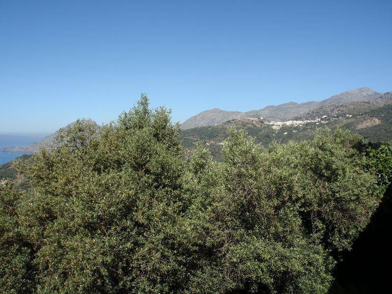 Land in Xiro Chorio - Image 2