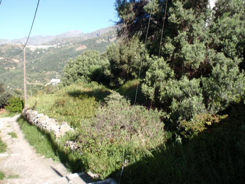 Land in Xiro Chorio - Image 3