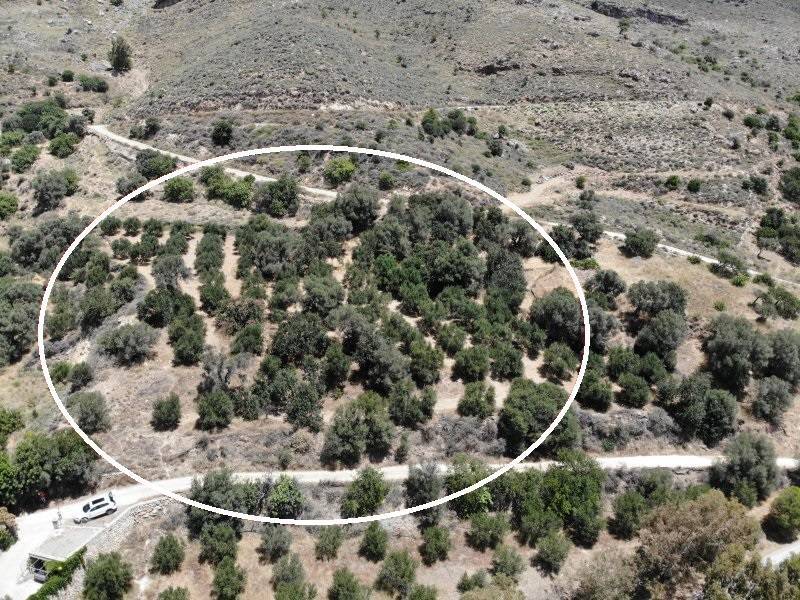 Land in Foinikas - Image 3