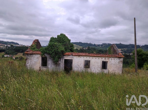 Land in Colmeias - view 1