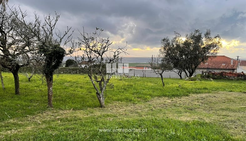 House in Areosa - view 1